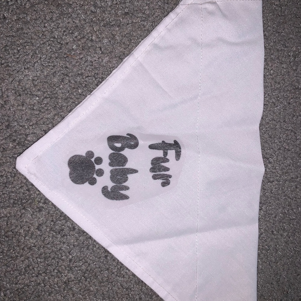 Over the collar bandana